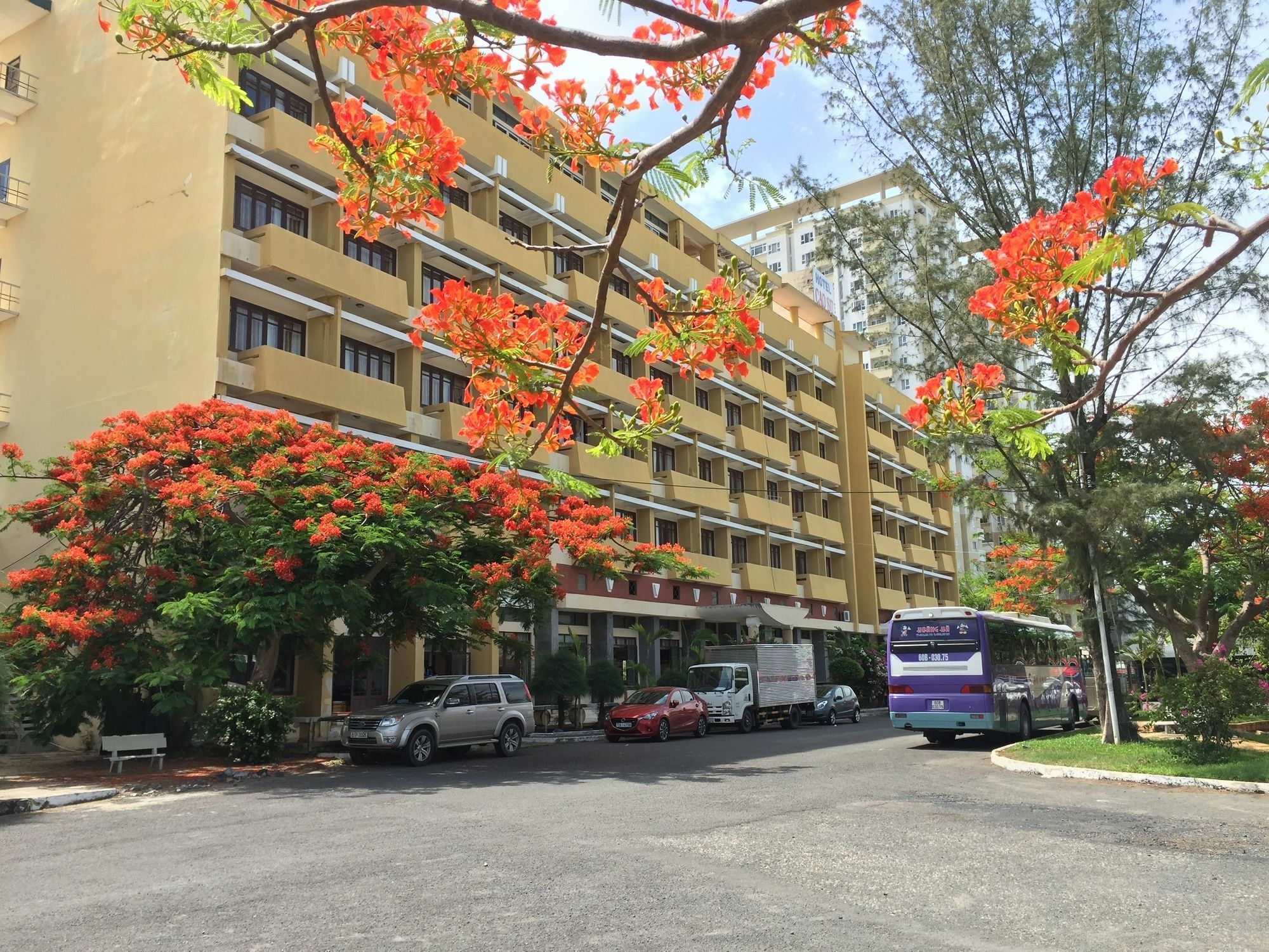 Cao Su Hotel Vung Tau Buitenkant foto